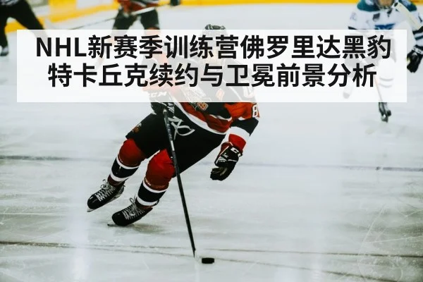hockey player skating